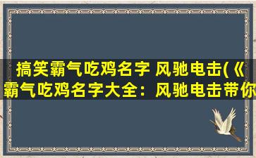 搞笑霸气吃鸡名字 风驰电击(《霸气吃鸡名字大全：风驰电击带你获得桶装胜利！》)